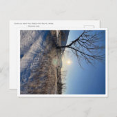 はがき、サイズ：標準はがき、紙:マット, ポストカード (正面/裏面)