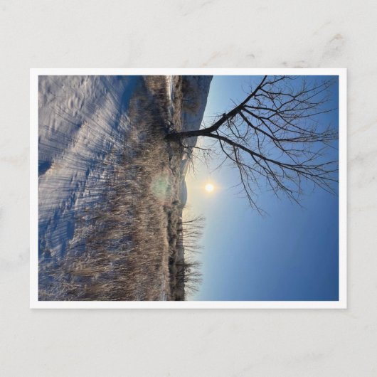 はがき、サイズ：標準はがき、紙:マット, ポストカード (正面)