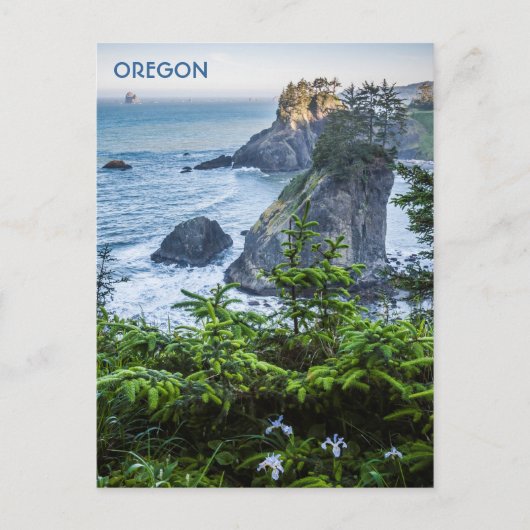 はがき:シースタックとアイリス(ポートレート) ポストカード (正面)