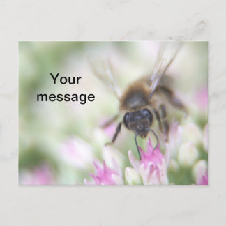 はがき シーズンポストカード