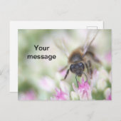 はがき シーズンポストカード (正面/裏面)