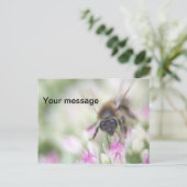 はがき シーズンポストカード (スタンド正面)