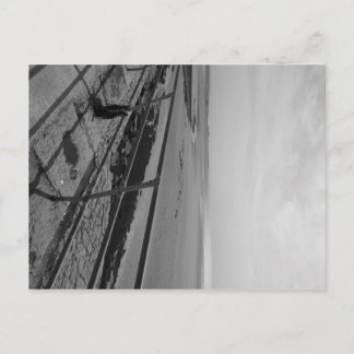 はがき:ジャージー ポストカード