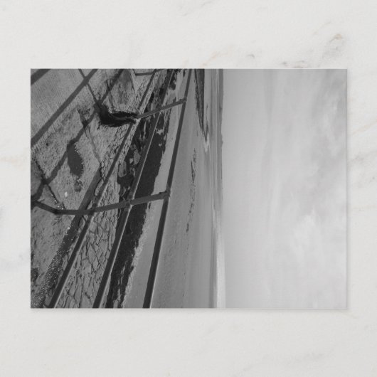 はがき:ジャージー ポストカード (正面)