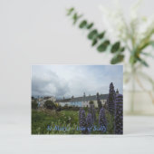 はがき – セントメアリーズ、スキリー島 (スタンド正面)