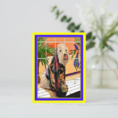 はがき:ソフトコートWheaten Terrier At theスパ ポストカード (スタンド正面)