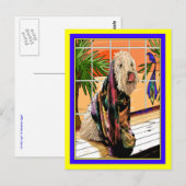 はがき:ソフトコートWheaten Terrier At theスパ ポストカード (正面/裏面)