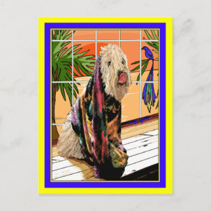 はがき:ソフトコートWheaten Terrier At theスパ ポストカード