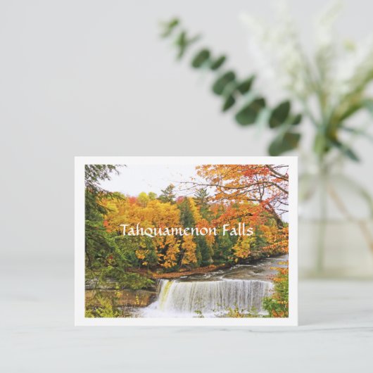 はがき、タフクアメノン滝/秋色 ポストカード (スタンド正面)
