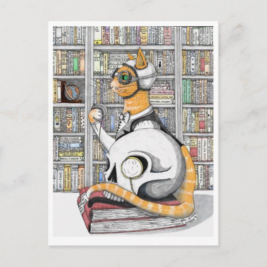 はがき：ネコ用航空 ポストカード (正面)