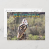 はがき：バーンドウル#1 （横） ポストカード (正面/裏面)