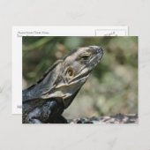 はがき:ビッグ・リザード ポストカード (正面/裏面)