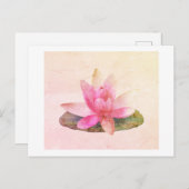 はがき：ピンクロータス ポストカード (正面/裏面)