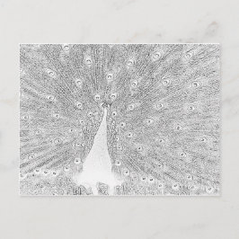 はがき – ピーコックからカラー