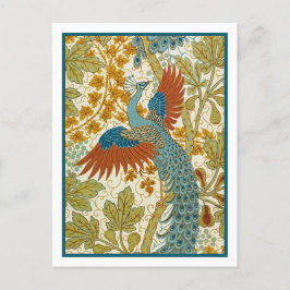 はがき – ピーコック
