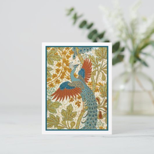 はがき – ピーコック (スタンド正面)