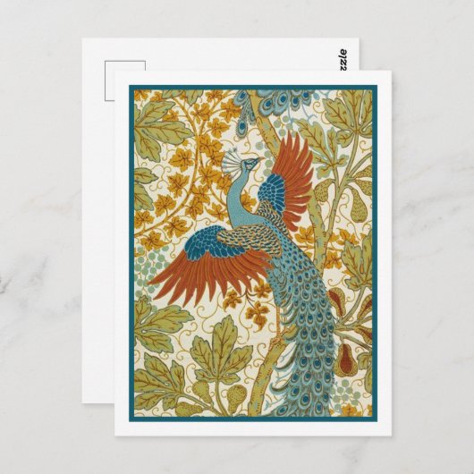 はがき – ピーコック (正面/裏面)