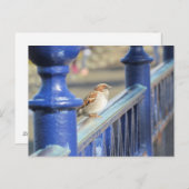 はがき – フェンス上の矢印 (正面/裏面)