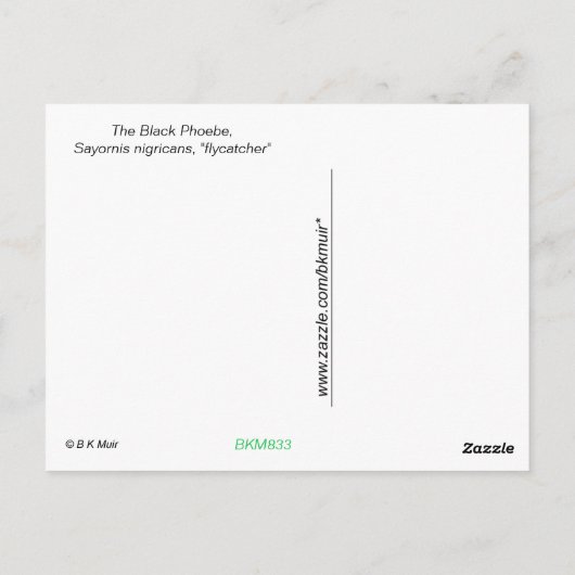 はがき – フェンス上の黒い写真 (裏面)