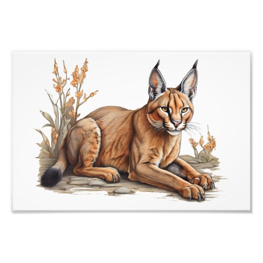 はがき フォトプリント            (正面)