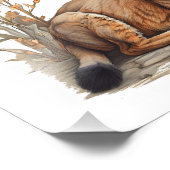 はがき フォトプリント            (角)