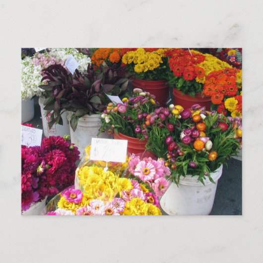 はがき – フラワーマーケット (正面)