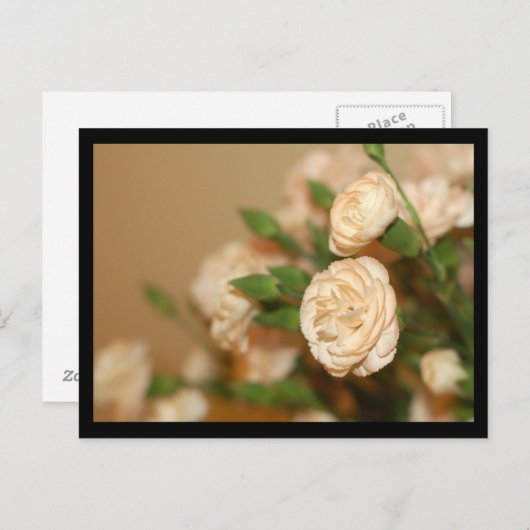 はがき – フラワー–21 (正面/裏面)