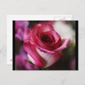 はがき – フラワー–26 (正面/裏面)