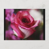 はがき – フラワー–26 (正面)