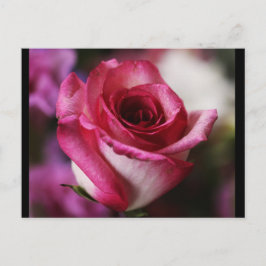 はがき – フラワー–26