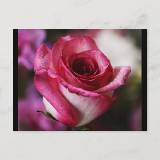 はがき – フラワー–26 (正面)