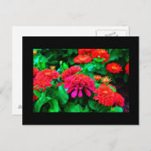 はがき – フラワー–61 (正面/裏面)