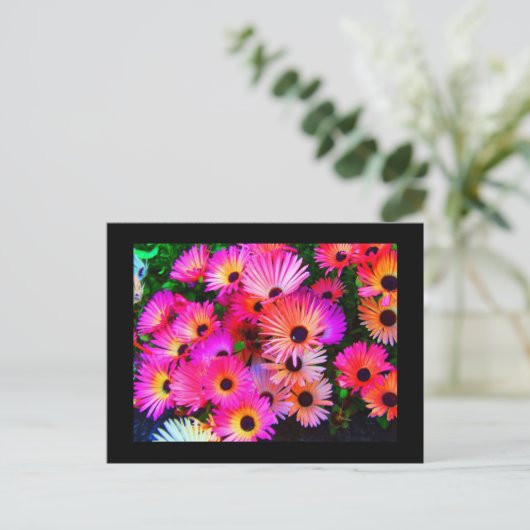 はがき – フラワー–68 (スタンド正面)