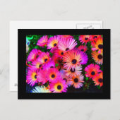 はがき – フラワー–68 (正面/裏面)