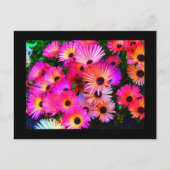 はがき – フラワー–68 (正面)