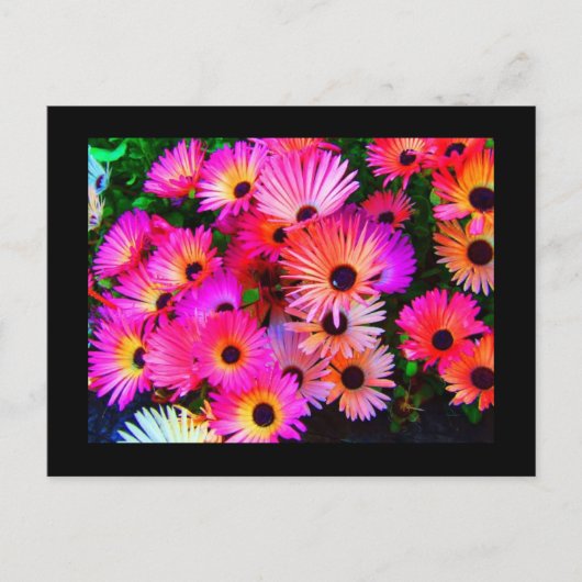 はがき – フラワー–68 (正面)