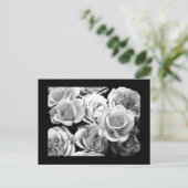 はがき – フラワー–74 (スタンド正面)