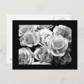 はがき – フラワー–74 (正面/裏面)