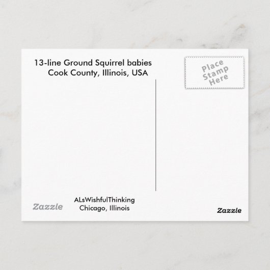はがき – ベビー13ラインの地面リス、イリノイ (裏面)