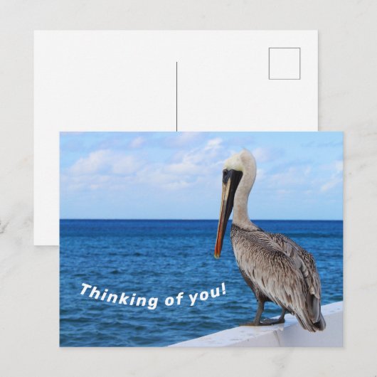 はがき – ペリ考えカン – Your (正面/裏面)