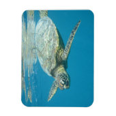 はがき マグネット (縦)