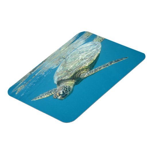 はがき マグネット (左側)