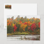 はがき/ミシガン！/鮮やか紅葉 ポストカード (正面/裏面)