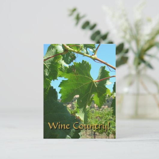 はがき – ワインカントリー (スタンド正面)