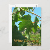 はがき – ワインカントリー (正面/裏面)