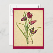 はがき – ヴィンテージアートチャールズレンニーマッキントッシュ18 (正面/裏面)