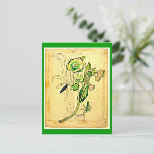 はがき – ヴィンテージアートチャールズレンニーマッキントッシュ19 (スタンド正面)