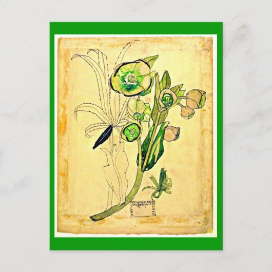 はがき – ヴィンテージアートチャールズレンニーマッキントッシュ19 (正面)