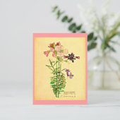 はがき – ヴィンテージアートチャールズレンニーマッキントッシュ28 (スタンド正面)