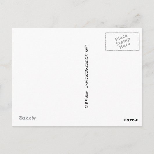 はがき – ヴィンテージ、飛行機の模型 (裏面)